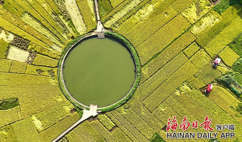 如何挑选适合的农业种植设备？